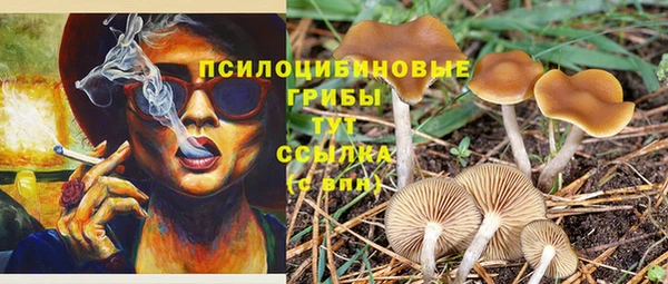 марки lsd Зеленодольск